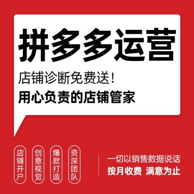 拼多多7天打造爆款日销千单提升店铺流量一站式代运营深度运营