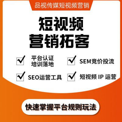 短视频搜索服务企业短视频 IP培训 企业顾问陪跑